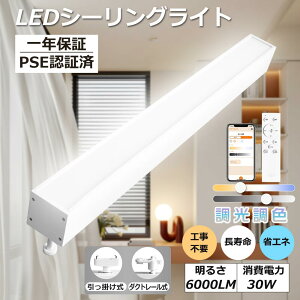 V[OCg LED  F Rt 30W Px6000LM LED V[OCg ` 铔 ^C}[t | _Ng[ LEDV[OCg VƖ ȃGl  ^ 
