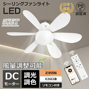 y5ZbgzV[Ot@Cg F LED ^ R V[Ot@ rO AC[^[ ^ Cz y t] V[OCg 6 8 @t a dC 