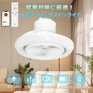 V[Ot@ V[Ot@Cg LED  F ʒ Rt t]؂ւ V[OCg 6 8 12 V[OCg t@t @ DC[^[ GAR