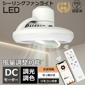 y2025NǔŃfzLEDV[Ot@Cg T[L[^[t 6 8 ʒ F Rt DC[^[ É V[OCg  X}z @ ȃGl C