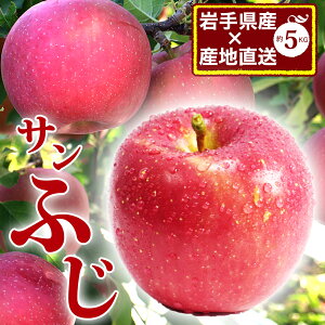 p  _ƒ Y Tӂ ӂ  5kg ӂ   Y    Gi S ь 11 12 {̉ʕ Mtg t[c Ε ̂ bZ[W