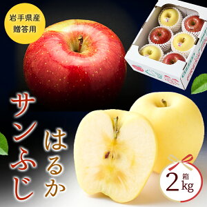 Ε  Mtg  Tӂ ͂邩 2kg (5-8) ʕ t[cMtg lߍ킹   ӂ Tӂ Gi 蕨   Mtg ь S Abv Ε Nz 