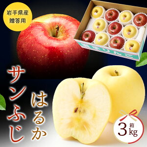 Ε  Mtg  Tӂ ͂邩 3kg (9-13) ʕ t[cMtg lߍ킹   ӂ Tӂ Gi 蕨   Mtg ь S Abv Ε Nz 