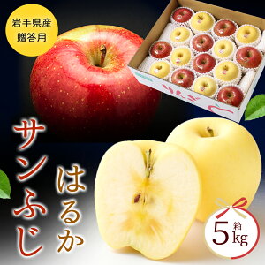 y1118珇z Ε  Mtg  Tӂ ͂邩 5kg (14-18) ʕ t[cMtg lߍ킹   ӂ Tӂ Gi 蕨   Mtg ь 