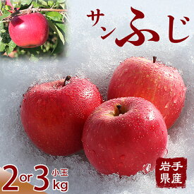 りんご 小玉 訳あり 岩手県産 旬 サンふじ 8玉〜 小玉 蜜 ふじ 送料無料 訳あり 自宅用 家庭用 家族用 林檎 リンゴ アップル 果物 無袋栽培 人気 売れ筋 お得セット ふじりんご 東北 岩手 紫波町