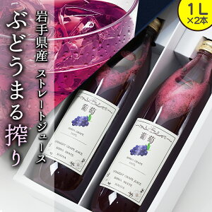 ԂǂW[X Xg[g Xg[gW[X ԂǂW[X 100% 1L 2{Zbg Xg[gW[X 100%W[X W[XZbg Y  g  Mtg