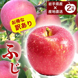 岩手県産 旬 りんご 訳あり 産地直送 ふじ 2kg箱 (5 - 8玉) お試し サンふじ ふじりんご お得 ご自宅用 自宅用 家庭用 蜜 ふじ 産直 農家直送 送料無料 お得セット