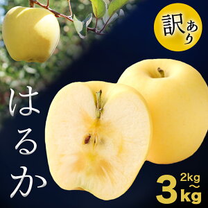 󂠂  ͂邩   ͂邩 󂠂  2kg      S ь {̉ʕ t[c