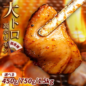 ホルモン 豚ホルモン 大トロ キクアブラ 450g 750g メガ盛り1.5kg ホルモン キクアブラ ホルモン焼き 大トロホルモン 国産 ホルモン 国産ホルモン 冷凍 みそ にんにく 味付き 味漬け肉 味付けホルモン