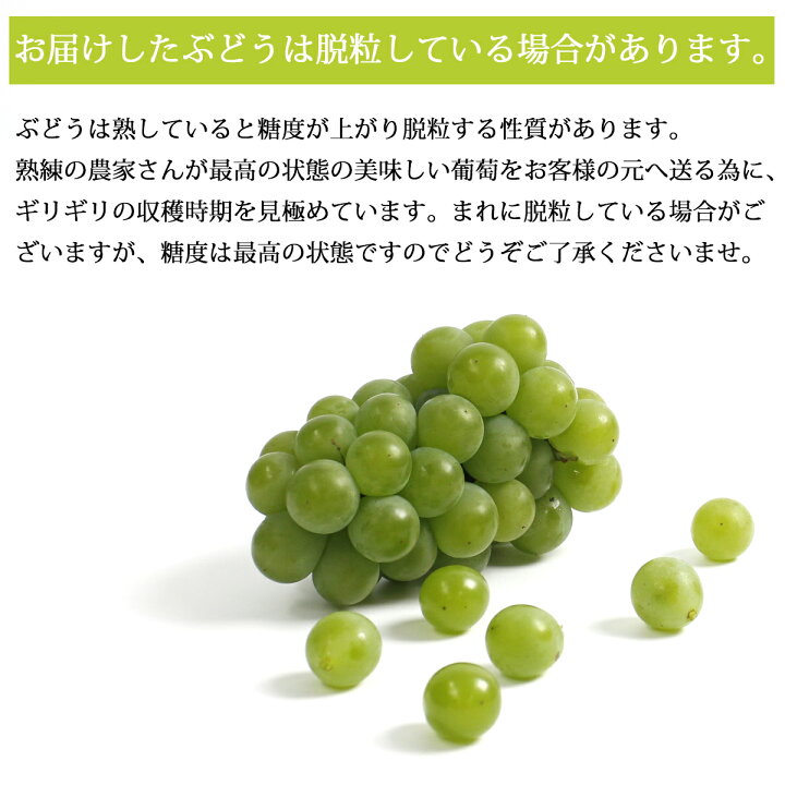 楽天市場 岩手県産 ぶどう ナイアガラ 2kg 6 8房入 産地直送 クール便 産直 農家直送 送料無料 秀品 贈り物 贈答 贈答用 ギフト 葡萄 ブドウ 食べやすい フルーツ 果物 美味しい 甘い 果汁 お得セット ナイヤ ナイヤガラ 東北 贈喜屋
