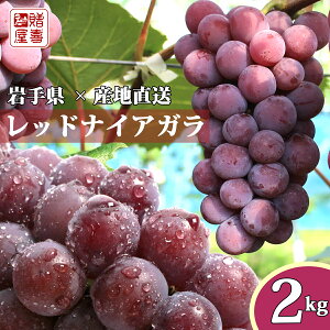 y \t zԂǂ  茧Y Yn Ԃǂ bhiCAK 2kg (6[`9[)  N[ Y _ƒ Gi 蕨  p Mtg  uhE t[c ʕ 