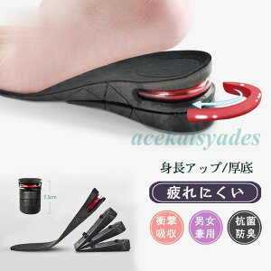 C\[ V[NbgC\[ ~   C gAbv Y fB[X Xj[J[ Ռz EH[LO U _炩