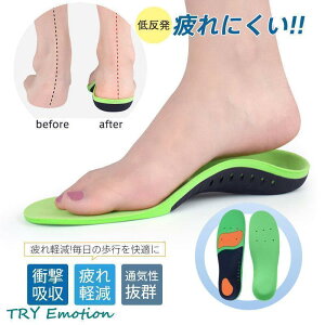 C\[ Ռz ~ ɂ X|[c Y fB[X ᔽ d  EH[LO T|[g