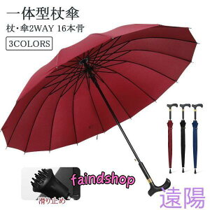 XebLP P P ̌^ XebLAu ^ JP  ϋ 16{ WvP 唻 Jp ~J΍ y  n