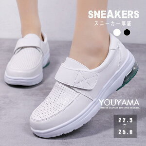 Xj[J[ X|[cV[Y fB[X i[XV[Y EH[LOV[Y V[Y wlC y ʋC ~ t H ~