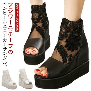 u[cT_ r  I[vgD JWA T_ T}[u[c [X fB[X T_ ԕ q[10cm