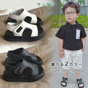 T_ LbY q C X|[cT_  ubN x[W j̎q ̎q v[ qǂ