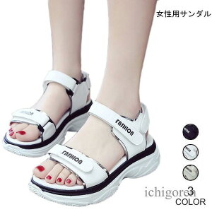 r[`T_ fB[X PU T_ }WbNe[v r[T ؂  V[Y  AEghA C y` bNX 