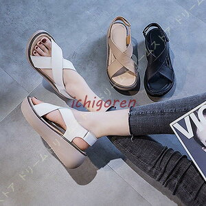 u|Cg10{IvT_ fB[X i[XV[Y  傫TCY  {v T_ RtH[gV[Y NXxg xN  ItBXT_ Ȃ