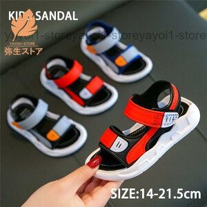 LbY T_ j̎q ̎q qC T_ xr[ ANAV[Y EH[^[V[Y r[`T_ y C  o ~ ʋC Ȑ