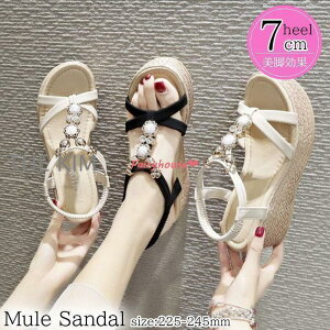 T_ fB[X ₷ ăT_ XgbvT_ C T_ r[`T_ OfBG[^[ Vv ؂