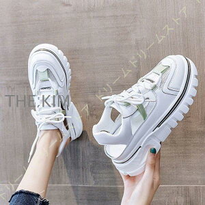 T_ fB[X Xj[J[T_ T_Xj[J[ Xj[J[  ؍ r X|[cT_ ʋC gAbv nCq[ EFbWT_