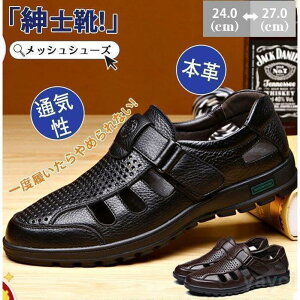 bVV[Y Y hCo[ vC {v t rWlXV[Y T_ JWA AEghA EH[LO Ȃ 芴 Vv