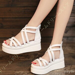 T_ fB[X T_ IVT_   OfBG[^[ OfBG[^[T_ EFbW\[ ؂  ₷