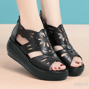 T}[u[c ău[c t@bVT_ fB[X OfBG[^[ {vU[ u[cT_ fB[X I[vgD `L[q[ q[