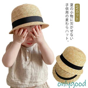 Xq LbY Xq UVJbg nbg xr[ nbg Rt Ԃ qǂ ̎q j̎q t  O΍ y ʋC