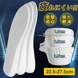 C\[ Y fB[X A[`T|[g ~ ʋC V[NbgC\[ Ռz X|[c Jy n e ɂ }\