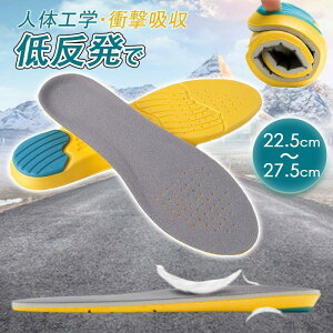 C\[ Ռz ~ ɂ Xj[J[ X|[c jOC Y fB[X ᔽ d