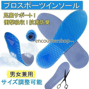 C\[ Ռz ~ Y fB[X TCY\  NbV ՌzC\[ X|[c d SC rWlXV[Y CPApi