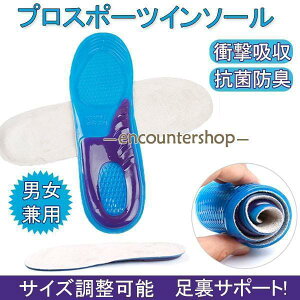 C\[ Ռz ~ Y fB[X TCY\  NbV ՌzC\[ X|[c d SC rWlXV[Y CPApi