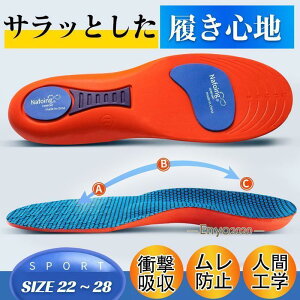 C\[ A[`T|[g Ε  ~ y܂ Ռz ɂ d Xj[J[ X|[c ʋ jOC TCY