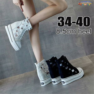 8.5cmUP  Xj[J[ fB[X gC fB[X Cq[ r q[ Ȃ XEF[h Xj[J[ nCJbg    V[Y Xj[J[