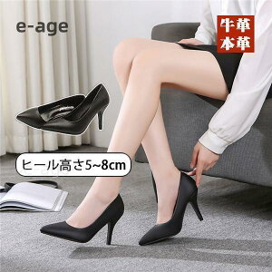 pvX fB[X nCq[ {v v sq[ d ItBX OL ₷ 6.5cm 5cm 8cm    ʋ
