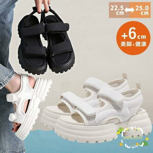 T_ fB[X   xg xN X|[cT_ RtH[g r[`T_ y r r ₷ ɂ 1264^