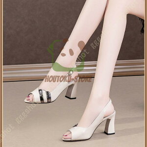 pvX ɂȂ fB[X q[ Zp[g T_ I[vgD Vv 6.5cmq[ obNXgbvpvX ₷ ɂȂ r wlC