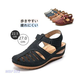  T_ fB[X X|[cT_ ₷T_  X|[cV[Y AEghA JWA Č tbg\[ ؍