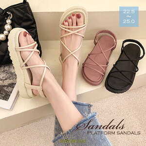 T_ fB[X  Xgbv  fB[X 2024tĐV ʋC ؍ JWA ₷ ɂȂ r C