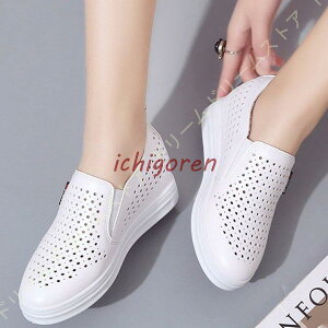 Cq[ Xj[J[ fB[X Xj[J[   R V[Nbg V[Y V[Y TChSA Xj[J[ p  Xb|