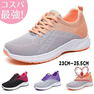 Xj[J[ fB[X EH[LO JWA C K ʊw ʋ  bV  t H ʋC Ȃ y WMO