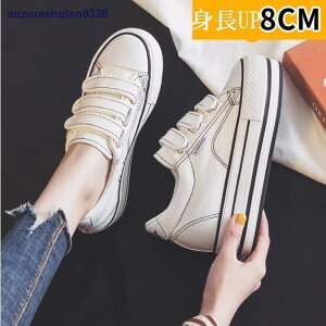 gUP8cmIXj[J[ V[Y nCJbg Cq[ fB[XC rXj[J[ [XAbv Cq[ ʊw JWA