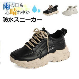 Xj[J[ fB[X h  h V[Y C ₷ Ȃ ɂȂ ʋC Vv ʋ ʊw 