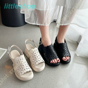 X|[cT_ EFbW\[  fB[X ~[ T_ RtH[g C I[vgD [q[ Xgbv r ₷ _炩