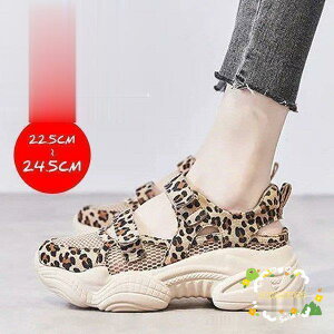 T_ fB[X X|[cT_  Xj[J[  EFbW\[ bV ₷ ɂ ₷  ~ JWA r