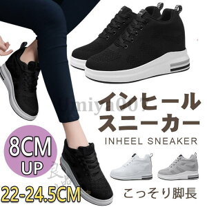 yԌ10OFFzXj[J[ fB[X   Cq[Xj[J[ V[NbgV[Y 8cm ₷ r q[Abv ɂ y