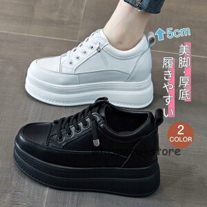 r Xj[J[ fB[X Xb| [XAbv Cq[   EH[LO nCq[ tďH~