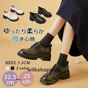 [t@[ w q fB[X ʊw ʋ wC wZ y pvX  ɂȂ ҂ݏグ ₷ 10203040 o w f[g